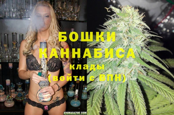 гашик Аркадак