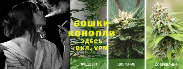 гашик Аркадак