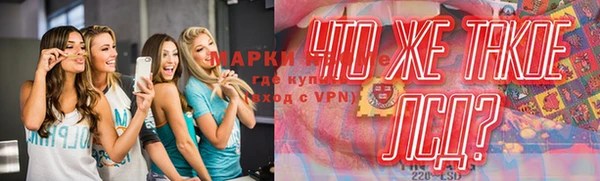 гашик Аркадак