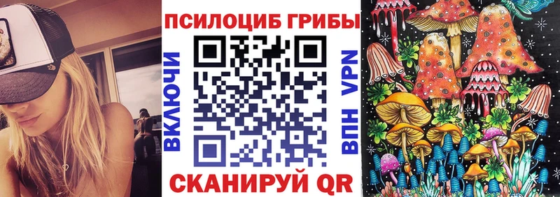 Галлюциногенные грибы Psilocybe  Валдай 